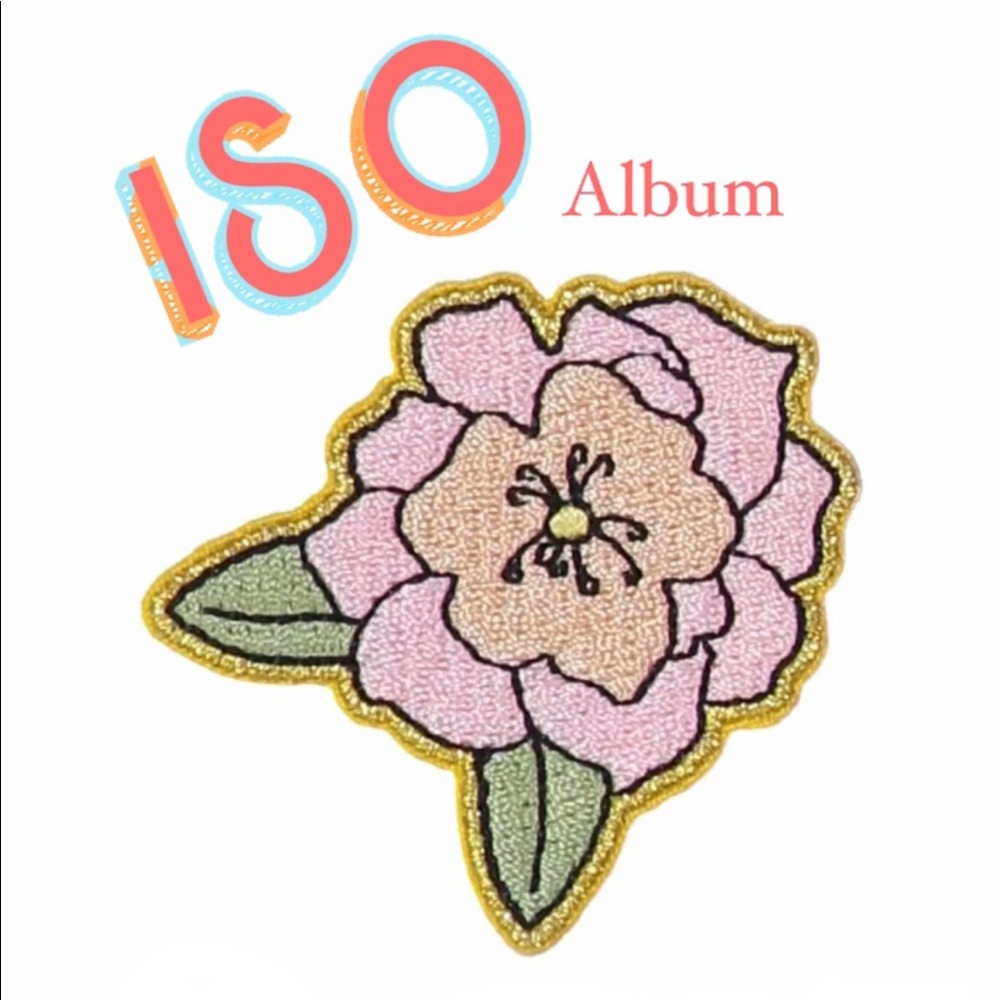 IN SEARCH OF ALBUM